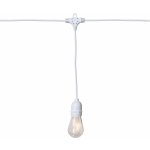 Star trading LED-Party-Kette String Light weiß 10 warmwhite LED ca. 30x4,5 cm ca. 3,6 m transparente Glühb – Hledejceny.cz
