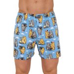 Cornette Classic 001/184 Světle modrá – Zbozi.Blesk.cz