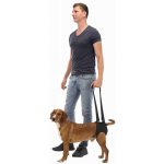 Trixie Podpůrná pomůcka k chůzi pro psy, L-XL 75-85 cm černá – Zboží Mobilmania