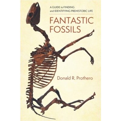Fantastic Fossils – Hledejceny.cz