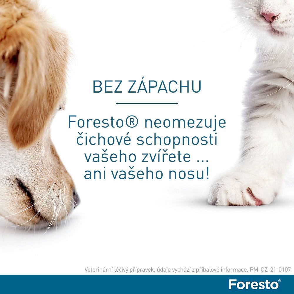 Foresto obojek pro malé psy a kočky do 8 kg 38 cm od 559 Kč - Heureka.cz