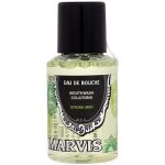 Marvis Strong Mint 30 ml – Zboží Dáma