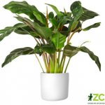 Gardners květináč Lora 22 cm bílý – Hledejceny.cz