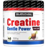 Survival Creatine Monohydrate Gentle Power 320 g – Zbozi.Blesk.cz