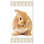 Jerry Fabrics Osuška Králíček brown 70 x 140 cm – Zbozi.Blesk.cz