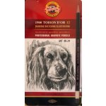 Koh-i-Noor 1900 Toison D´or 8B 2H – Zboží Živě