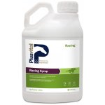 Plusvital Racing Syrup 5 l – Hledejceny.cz