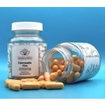 Curcumin Plus 60 kapslí – Hledejceny.cz