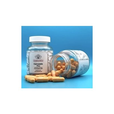 Curcumin Plus 60 kapslí – Hledejceny.cz
