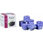 Kozák přírodní vonný vosk do aromalamp a interiérů Černý rybíz 8 kostiček 30 g – Sleviste.cz