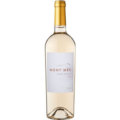 Castelfeder Mont Mes Pinot Grigio Vigneti delle Dolomiti IGT bílé suché 2020 12,5% 0,75 l (holá láhev) – Zboží Mobilmania