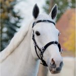 QHP Lonžovací uzdečka anatomická black – Zboží Dáma