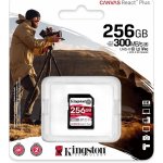Kingston SDHC UHS-II 256 GB SDR2/256GB – Sleviste.cz