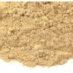 DNM AMLA prášek 125 g – Hledejceny.cz