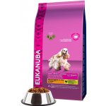 Eukanuba Adult Medium Light & Weight Control 15 kg – Hledejceny.cz