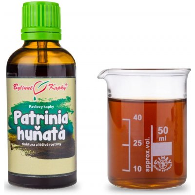 Bylinné kapky Patrinia TCM Pavlovy bylinné kapky tinktura 50 ml – Hledejceny.cz