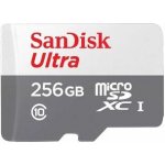 Sandisk MicroSDXC UHS-I 256 GB SDSQUNR-256G-GN3MN – Zboží Mobilmania