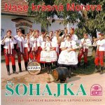 Šohajka - Naše krásná Morava CD – Hledejceny.cz