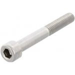 ISO4762 šroub válcová hlava, vnitřní 6hran M6x100, nerez A2 (DIN 912) – Zboží Mobilmania