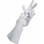 Cerva MARTIUS – Sleviste.cz