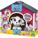 Little Live Pets Interaktivní pejsek s domečkem Dalmatin Limitovaná verze 26483 Cobi – Zboží Mobilmania