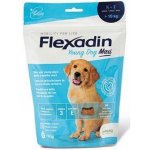 Flexadin Yong Dog Maxi 60 tbl – Hledejceny.cz