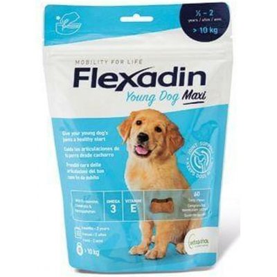 Flexadin Yong Dog Maxi 60 tbl – Hledejceny.cz
