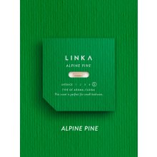 Linka Craft Beton Alpine Pine 100 g