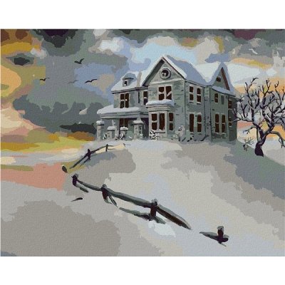 Zuty malování Podle čísel Opuštěný Bílý Dům V Zimě D. Rusty Rust 40 x 50 Cm Plátno Rám