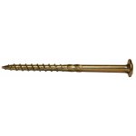 Vruty RAPI-TEC SK 6x100mm talířová hlava TX30 galvanický zinek – Hledejceny.cz