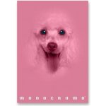 Pigna Školní sešit Monocromo Pink A4 linkovaný – Sleviste.cz