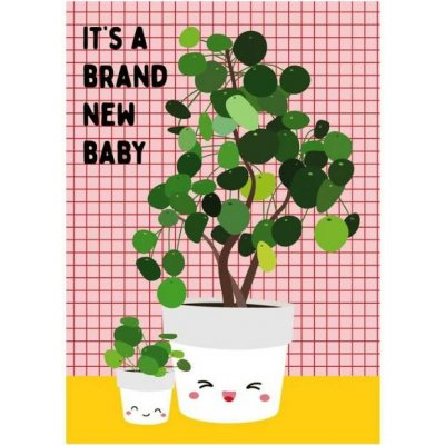 Studio Inktvis Blahopřání Baby Pilea peperomioides, 1 ks – Hledejceny.cz