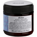 Davines Alchemic Conditioner Silver 250 ml – Sleviste.cz