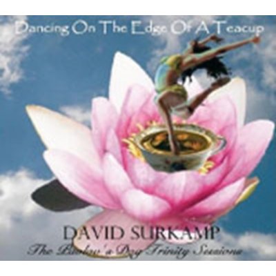 Surkamp David - Dancing On The Edge Of A Teacup CD