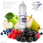 Adams vape S&V Garden Fruit 10 ml – Zboží Dáma