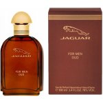 Jaguar Oud parfémovaná voda pánská 100 ml – Zbozi.Blesk.cz