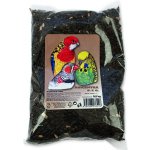 AVICENTRA slunečnice černá 500 g – Zboží Dáma