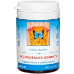 TCM Bohemia BALDACHÝNOVÁ KOMNATA 100 kuliček – Hledejceny.cz