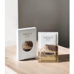 SKIN1004 Madagascar Centella Watergel Sheet Ampoule Mask 25 ml – Zboží Dáma