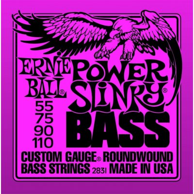 Ernie Ball 2831 – Zboží Mobilmania