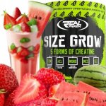 Real Pharm Size Grow 675 g – Hledejceny.cz