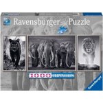 Ravensburger Panter slon a lev Panorama 1000 dílků – Hledejceny.cz