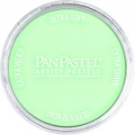 PanPastel suchý pastel 640.8 permanent green tint – Zbozi.Blesk.cz
