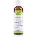 Serafin Žampion tinktura z bylin 50 ml – Hledejceny.cz