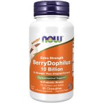 Now BerryDophilus Extra Strength probiotika pro děti 50 žvýkacích pastilek – Hledejceny.cz