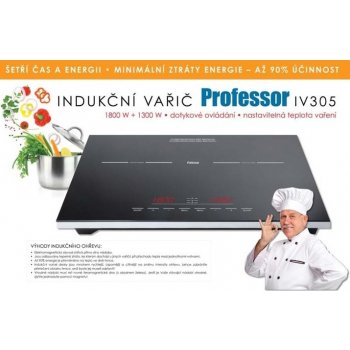 Professor IV305