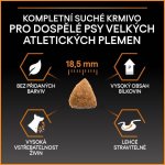Pro Plan Large Adult Athletic Everyday Nutrition kuře 14 kg – Hledejceny.cz
