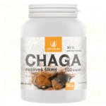 Allnature Chaga 100 kapslí – Hledejceny.cz