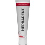 Herbai HERBADENT PROFESSIONAL s 0,12 % CHX 40 g – Hledejceny.cz