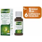 IBEROGAST NEO POR GTT LIQ 1X20ML – Zboží Dáma